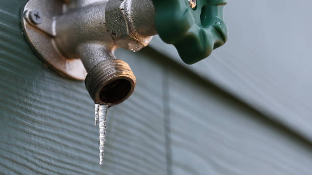 Best Plumbing Repair Near Me  in , NV