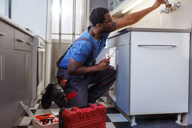 Best Commercial Plumbing Services  in , NV
